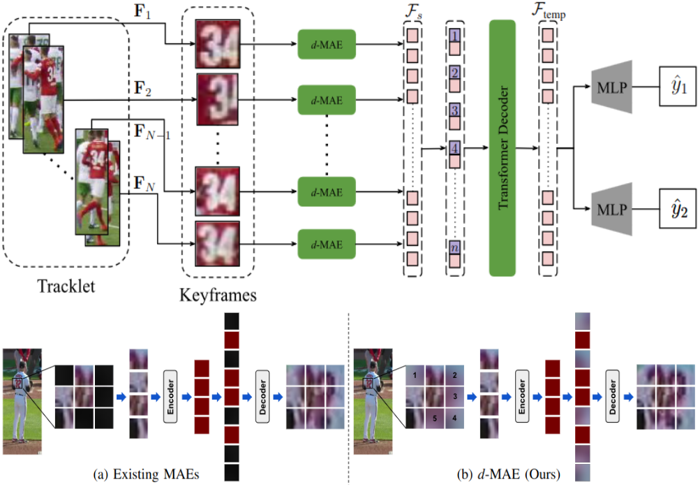 Domain-Guided MAE